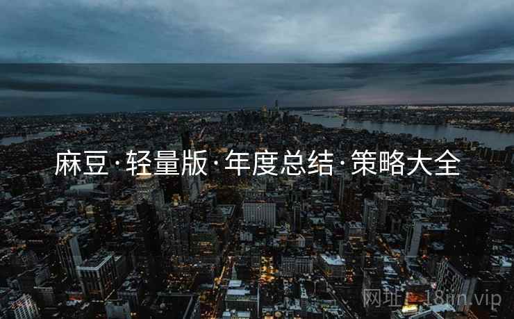 麻豆·轻量版·年度总结·策略大全