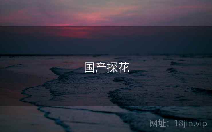 国产探花 第1张