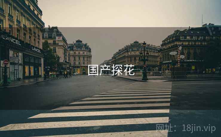 国产探花 第2张