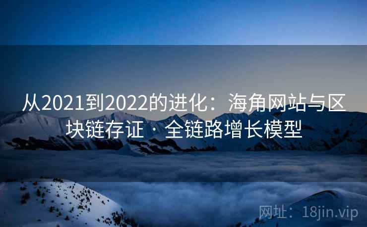 从2021到2022的进化：海角网站与区块链存证 · 全链路增长模型