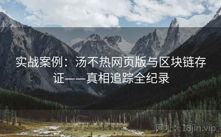 实战案例：汤不热网页版与区块链存证——真相追踪全纪录