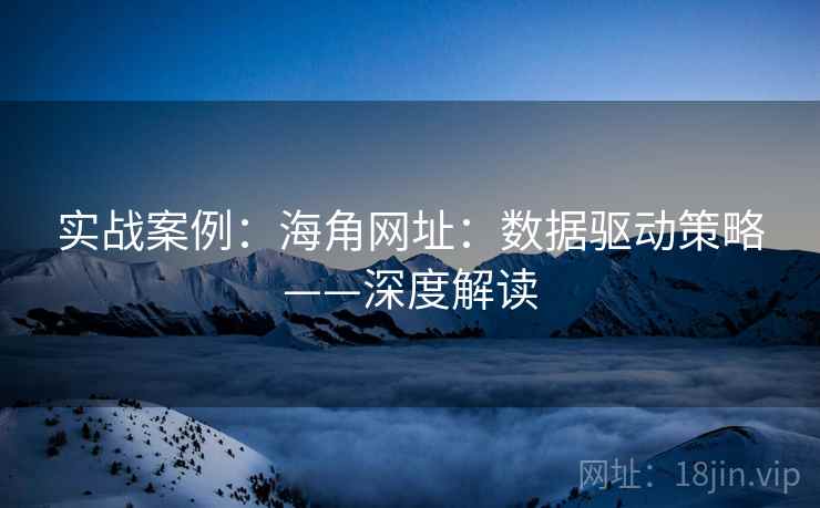 实战案例：海角网址：数据驱动策略——深度解读