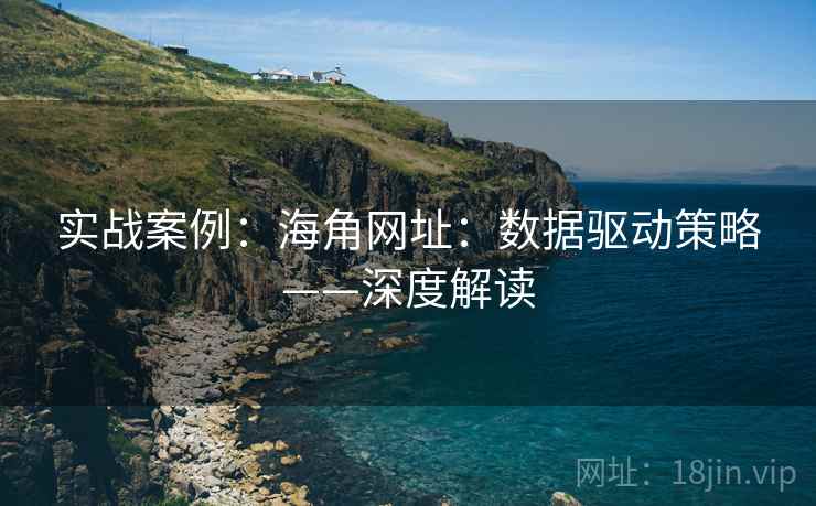 实战案例：海角网址：数据驱动策略——深度解读