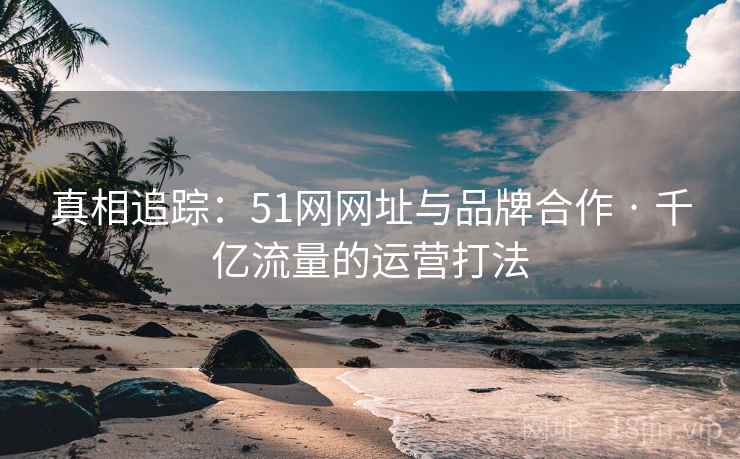 真相追踪：51网网址与品牌合作 · 千亿流量的运营打法