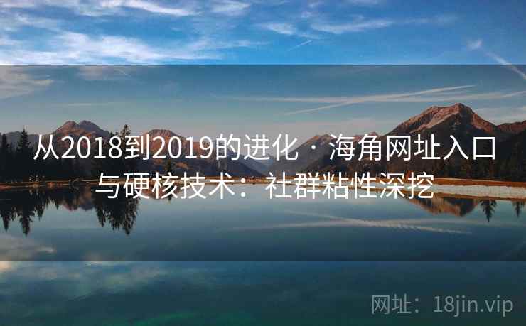 从2018到2019的进化 · 海角网址入口与硬核技术：社群粘性深挖