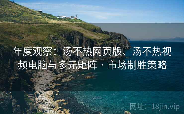 年度观察：汤不热网页版、汤不热视频电脑与多元矩阵 · 市场制胜策略
