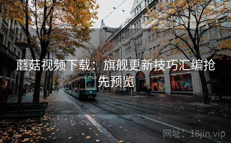 蘑菇视频下载：旗舰更新技巧汇编抢先预览