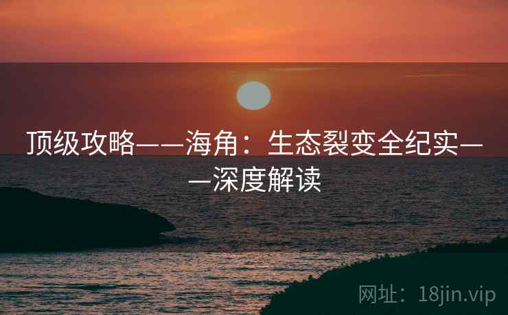 顶级攻略——海角：生态裂变全纪实——深度解读