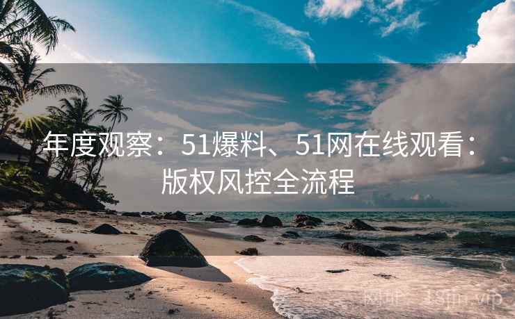 年度观察：51爆料、51网在线观看：版权风控全流程