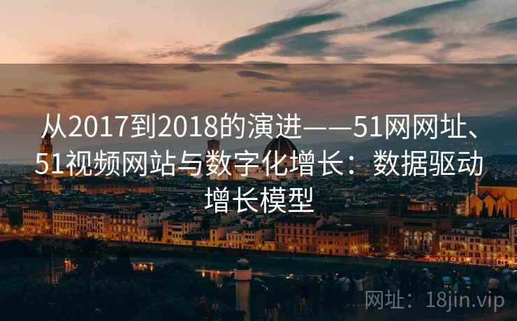 从2017到2018的演进——51网网址、51视频网站与数字化增长：数据驱动增长模型